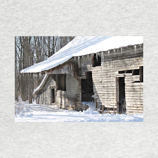 Abandoned Barn by photoclique